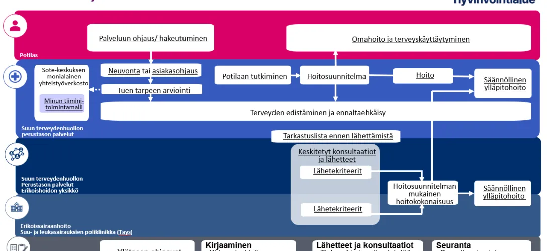 Pirkanmaan hyvinvointialueen suun terveydenhuollon toimintamallit