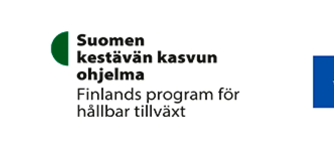 Sosiaalihuollon kirjaamiskäytäntöjen kehittäminen -työpaketti, Varsinais-Suomen hyvinvointialue (RRP, P4, I3)