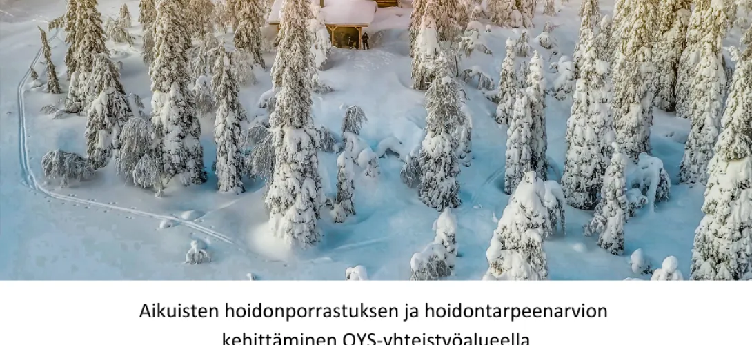 Aikuisten hoidonporrastuksen ja hoidontarpeenarvion kehittäminen OYS-yhteistyöalueella