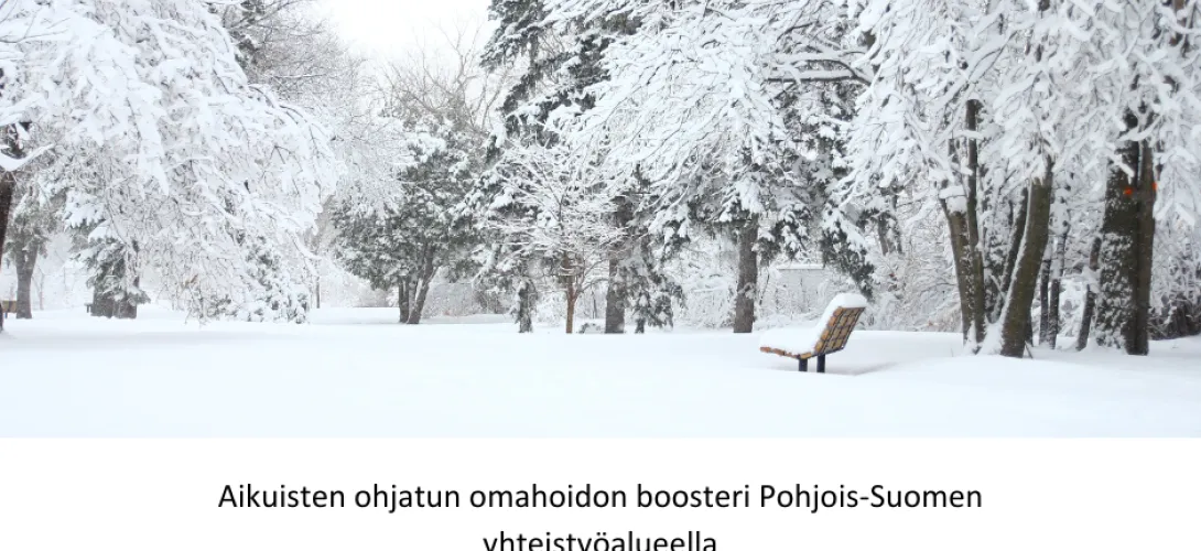 Aikuisten ohjatun omahoidon boosteri Pohjois-Suomen yhteistyöalueella