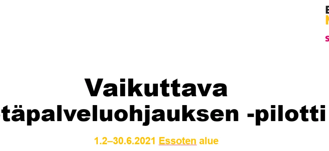 Vaikuttava etäpalveluohjaus: Mielenterveys- ja päihdepalvelujen sekä aikuissosiaalityön asiakkaiden etäryhmät