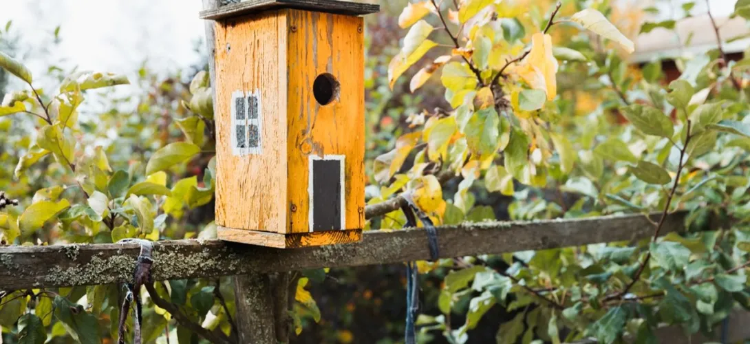 Päijät-Hämeen hyvinvointialue: Tulevaisuuden kotona asumista tukevat palvelut iäkkäille –hanke 