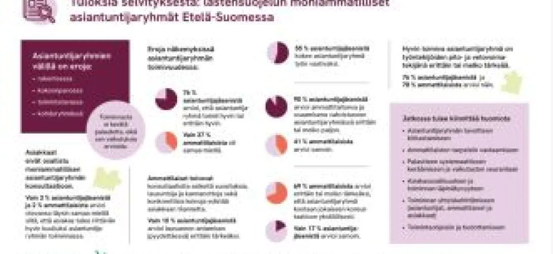 Lastensuojelun moniammatilliset asiantuntijaryhmät Etelä-Suomessa 2023 (selvitys)