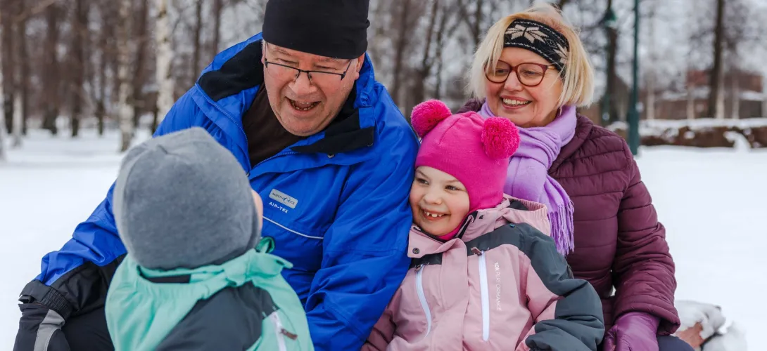 Satakunnan perhekeskustoimintamallin konseptointi 
