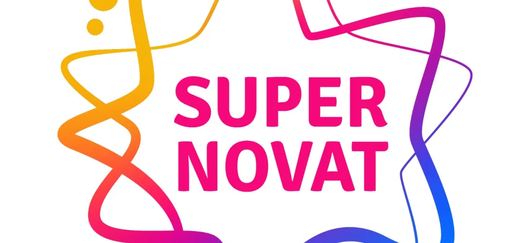 Vertaisuuteen perustuva ryhmätoimintamalli asunnottomuutta kokeville, rikos- ja päihdetaustaisille naisille (Supernovat)