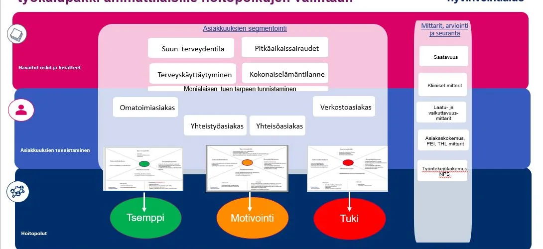 Suun terveydenhuollon lasten ja nuorten asiakassegmentoinnin toimintamalli ja ammattilaisten työkalut hoitopolkujen valintaan, Pirkanmaan hyvinvointialue (RRP, P4,I1)