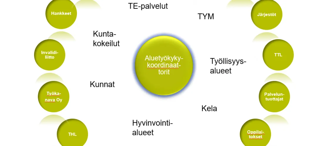 Aluetyökykykoordinaattoreiden (RRP) yhdyspintatyöskentelyn toiminnan kuvaus.