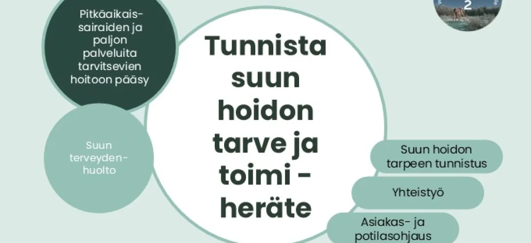Tunnista suun hoidon tarve ja toimi -heräte työn tueksi, Lapin HVA (RRP, P4, I1)