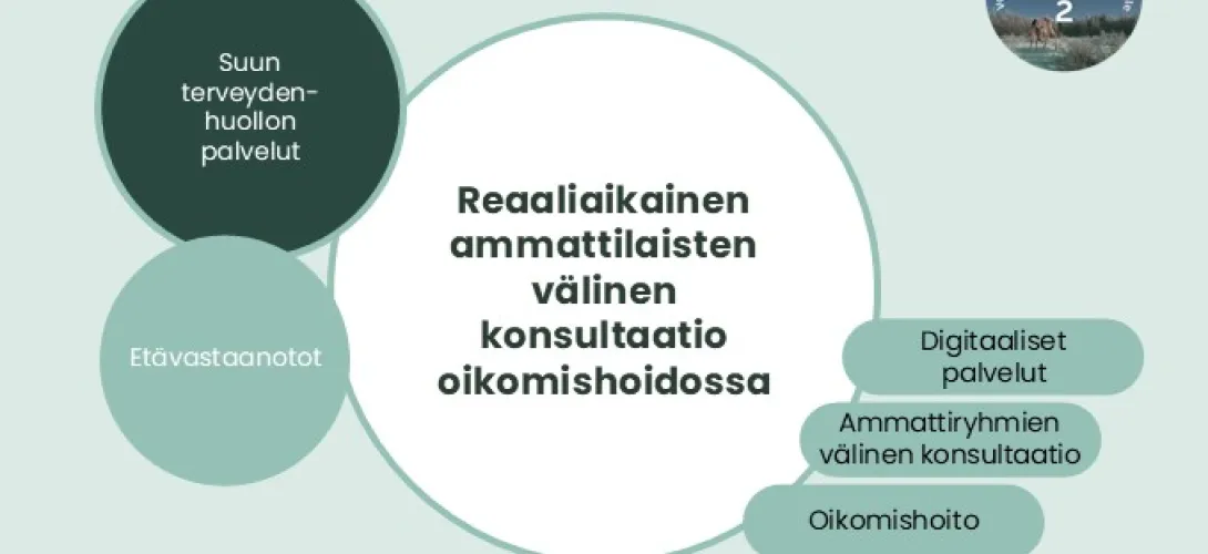 Reaaliaikainen ammattilaisten välinen konsultaatio oikomishoidossa, Lapin HVA (RRP, P4, I1, I4)