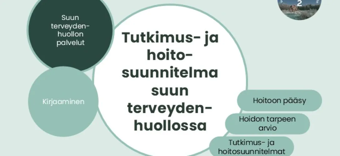 Tutkimus- ja hoitosuunnitelma suun terveydenhuollossa, Lapin HVA (RRP, P4, I1, I3)