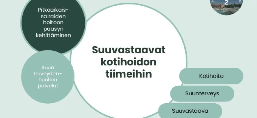 Suuvastaavat kotihoidon tiimeihin, Lapin HVA (RRP, P4, I1)