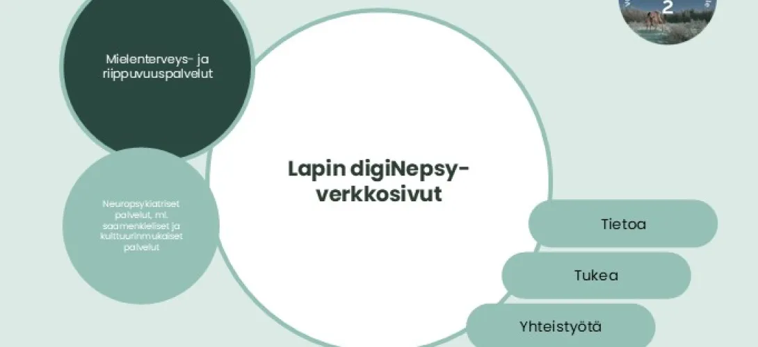 Lapin digiNepsy-verkkosivusto, Lapin HVA (RRP, P4, I1)