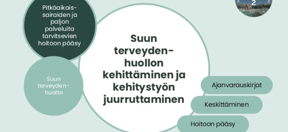 Suun terveydenhuollon kehittäminen ja kehitystyön juurruttaminen, Lapin HVA (RRP, P4, I1, I3)