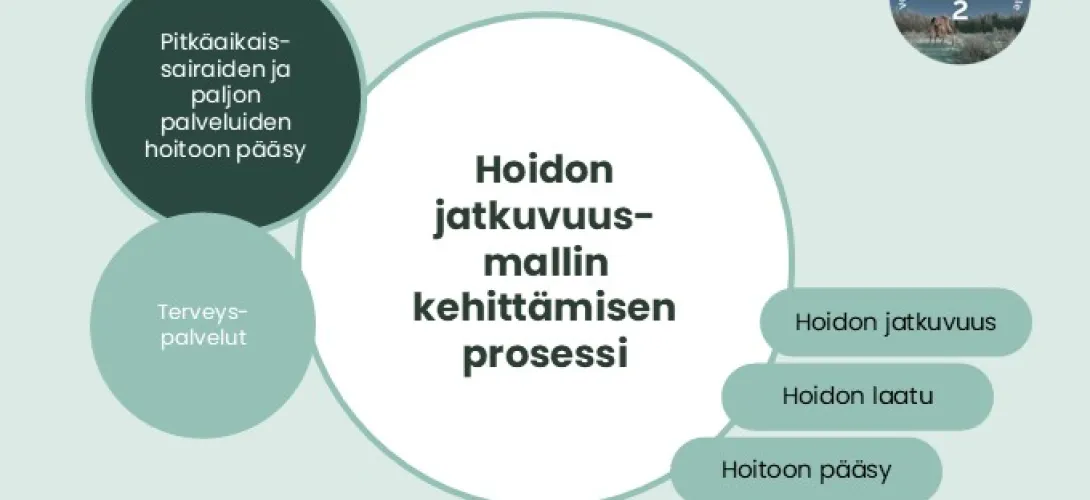 Hoidon jatkuvuusmallin kehittämisen prosessi Lapin HVA (RRP2, P4, I1) 