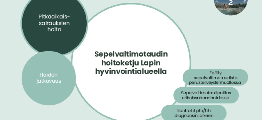 Sepelvaltimotautipotilaan hoitoketju Lapin HVA (RRP, P4, I1, I3)