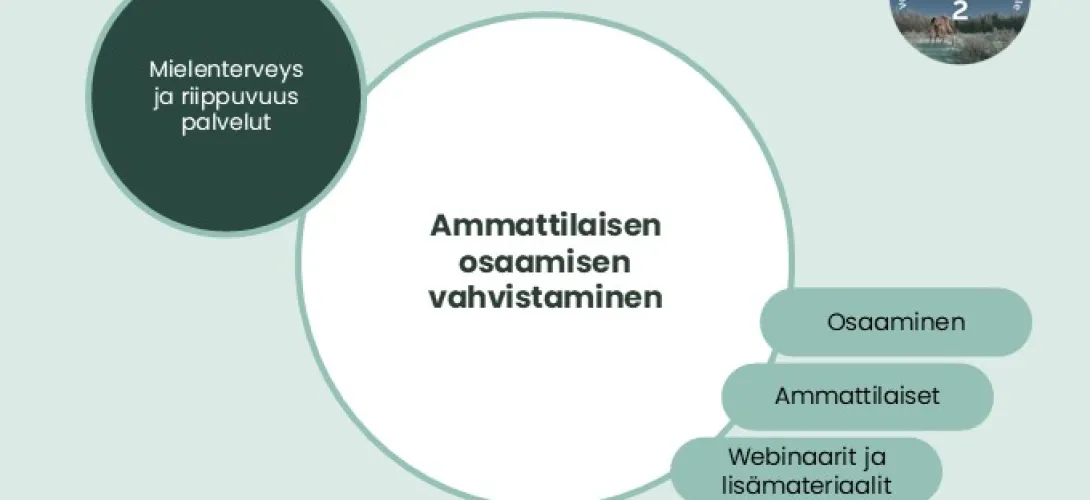 Ammattilaisen osaamisen vahvistaminen mielenterveys- ja riippuvuuspalveluissa, Lapin HVA (RRP, P4, I1)