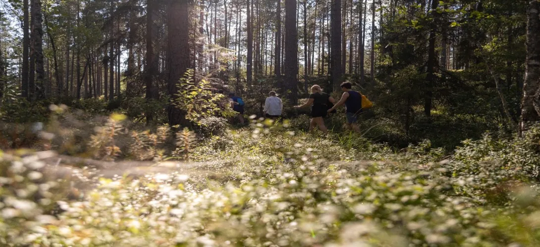 Työkoordinaattorin tehtävänkuva