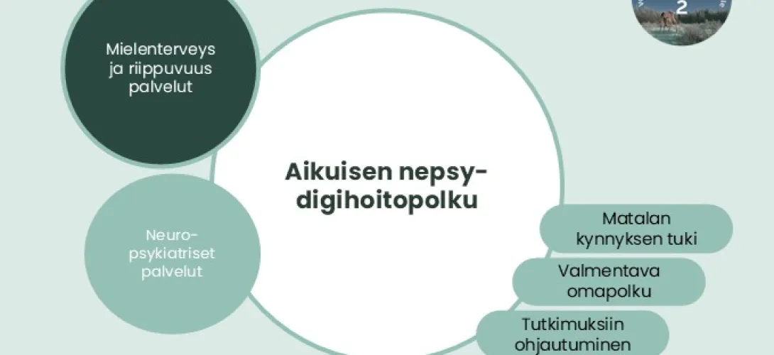 Aikuisen nepsy-digihoitopolku - pilotti, Lapin HVA (RRP,P4,I1)