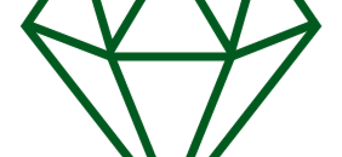 Moniammatillinen RAI-arviointi