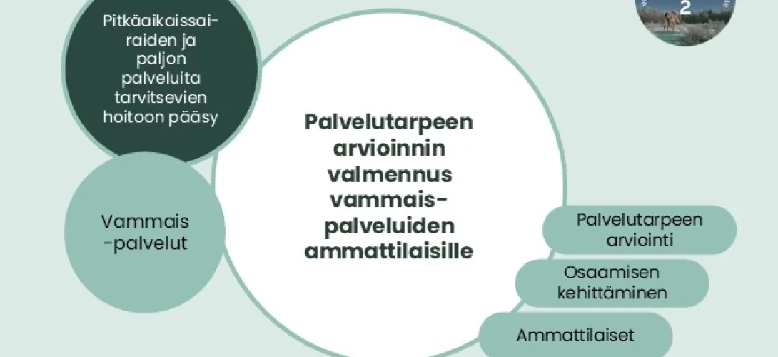 Palvelutarpeen arvioinnin valmennus vammaispalveluiden ammattilaisille, Lapin HVA (RRP, P4, I1)