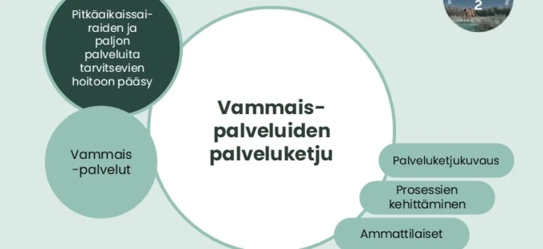 Vammaispalveluiden palveluketju, Lapin HVA (RRP, P4, I1)