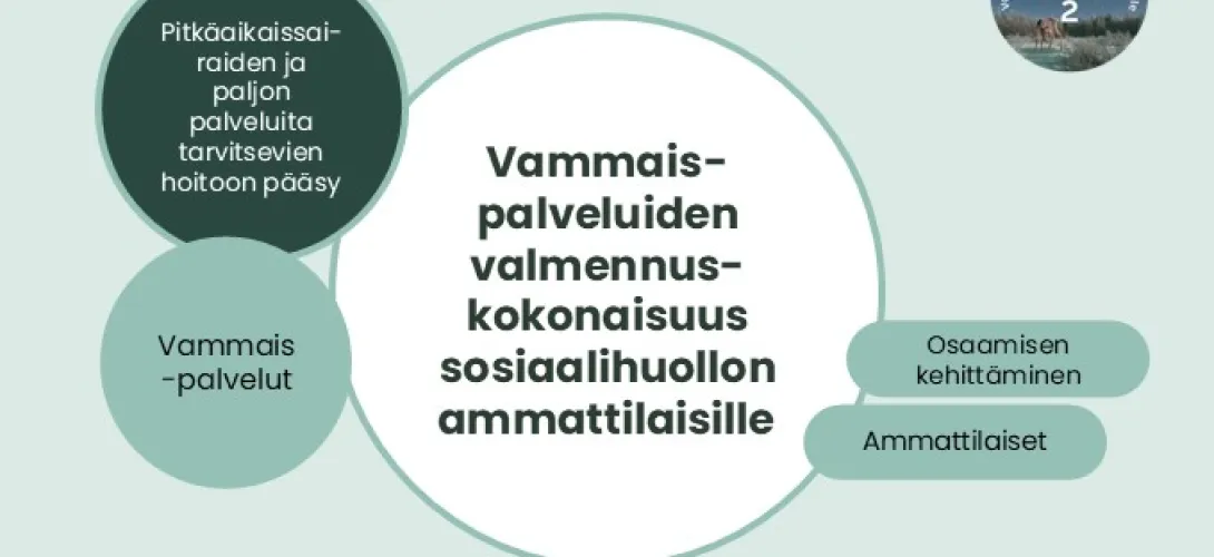 Vammaispalveluiden valmennuskokonaisuus sosiaalihuollon ammattilaisille, Lapin HVA (RRP, P4, I1)