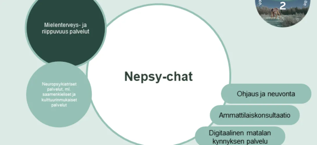 Nepsy-chat, Lapin HVA (RRP, P4, I1, I4)