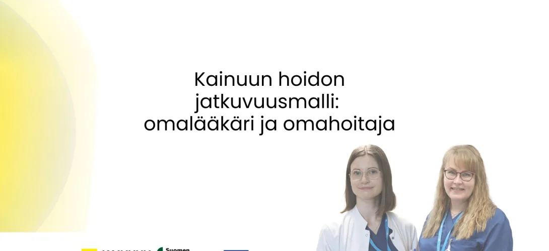 Kainuun hyvinvointialueen hoidon jatkuvuusmalli: omalääkäri ja omahoitaja RRP4, P4, INV1