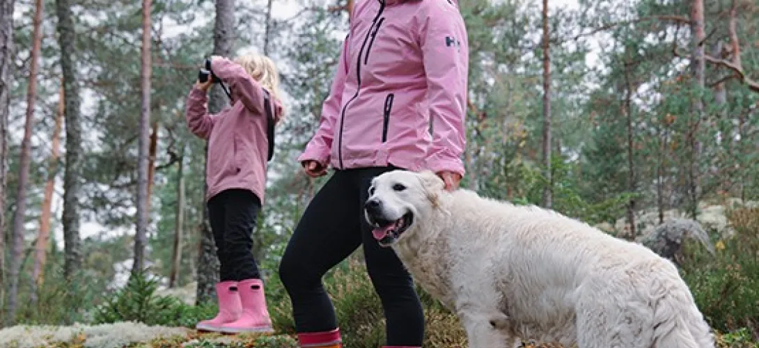 Varhan Hyvinvointiopastaja asiakasohjauksen tukena. (RRP P4 I2)