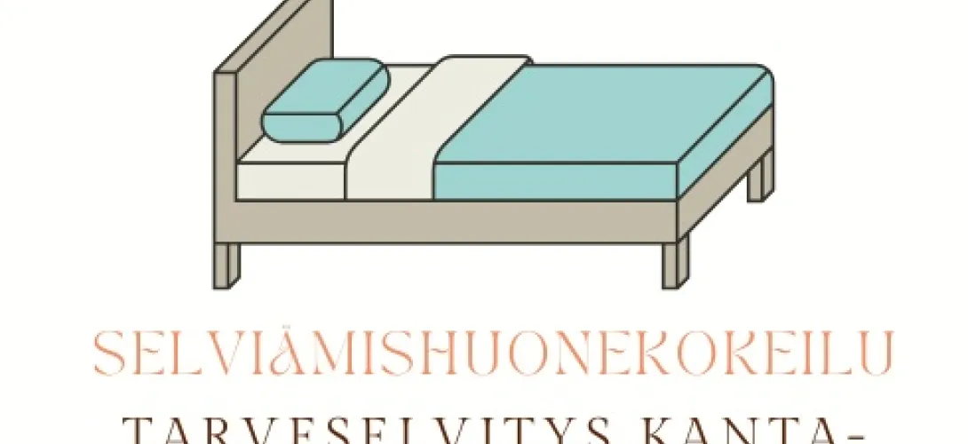 Päihtyneiden selviämishuoneen ja -aseman kehittäminen Kanta-Hämeessä (RRP, P4, I1)