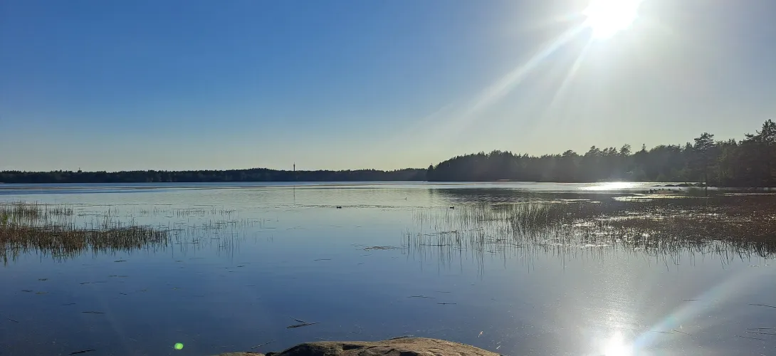 OmaTuki - Omat voimavarat näkyviksi uusilla menetelmillä -hanke