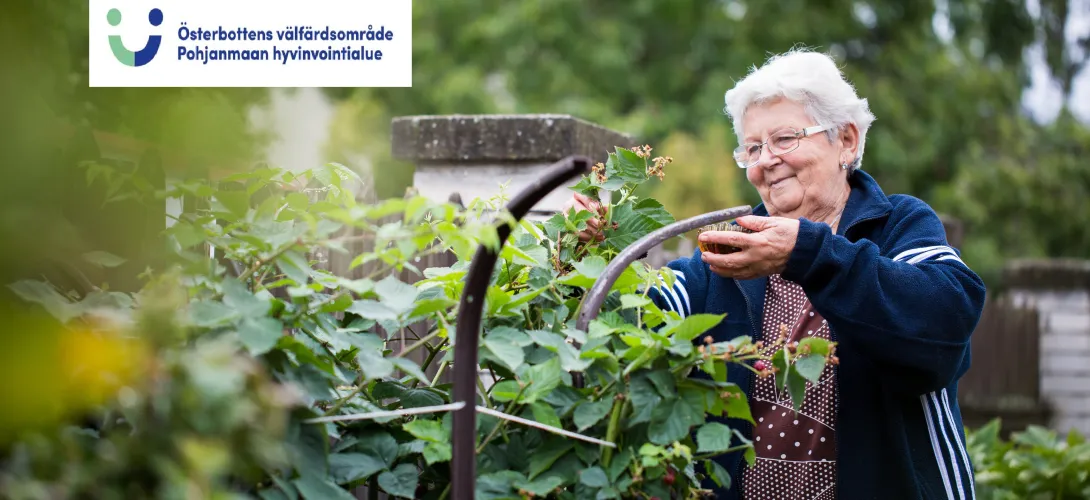 Hyvinvointiranneke apuna ikääntyneiden etäkotikuntoutuksessa (RRP, P4, I1)