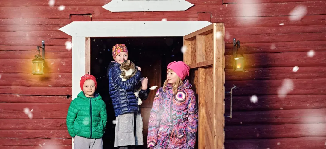 Kouluille jalkautuva psykiatrinen sairaanhoitaja, Pohjois-Pohjanmaan hyvinvointialue  (RRP2, P4, Inv. 1)