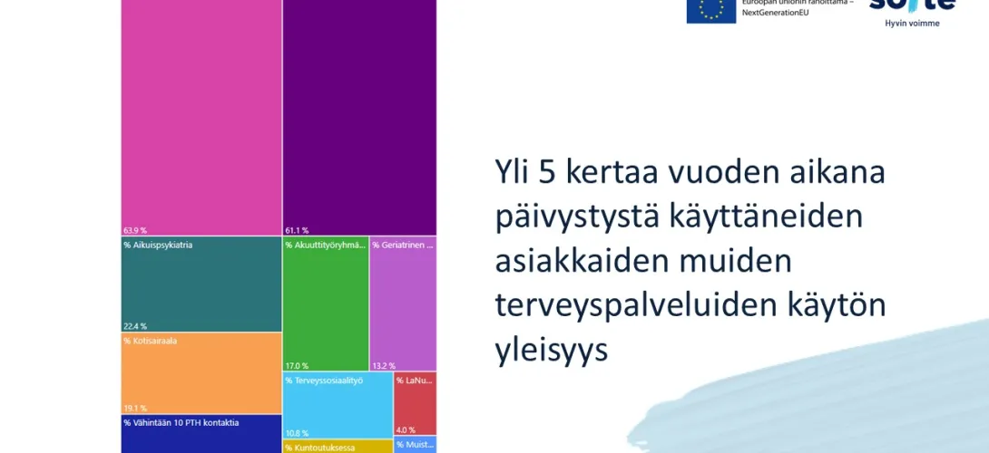 Raporttityökalu paljon palveluita käyttävien asiakkaiden palvelukäytön tarkasteluun. Keski-Pohjanmaan hva (RRP, P4, I4)