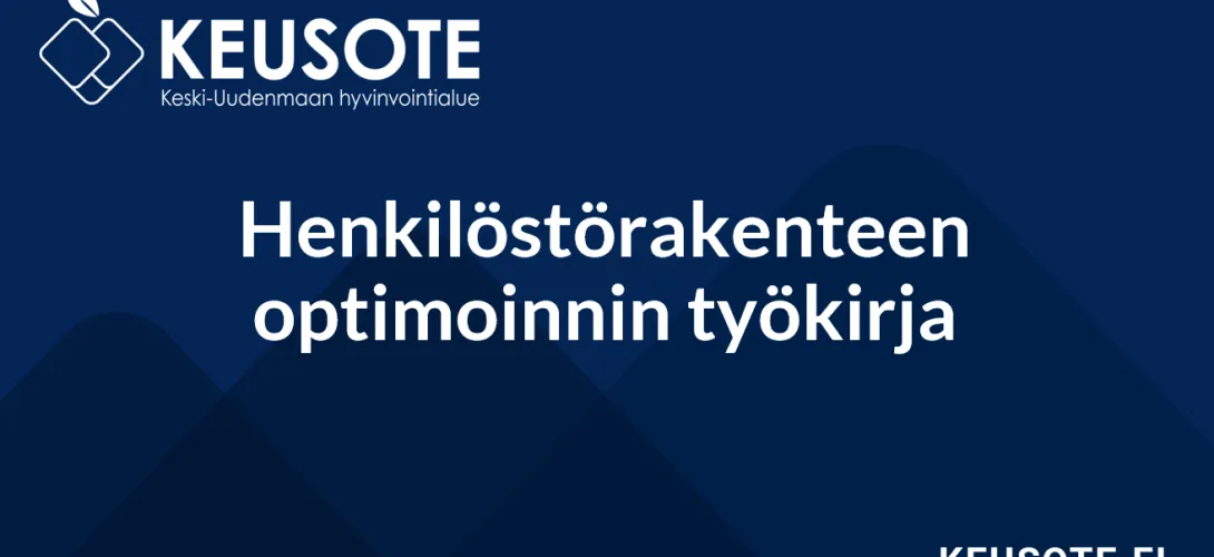 Henkilöstöresurssin optimoinnin työkirja