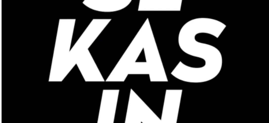 Sekasin-chat pilotti Pirkanmaan hyvinvointialueella, Pirkanmaan hyvinvointialue (RRP, P4, I1)