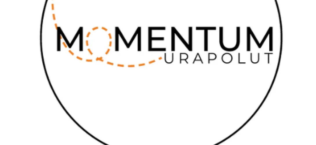 Momentum-hankkeen työhönvalmennuksen malli