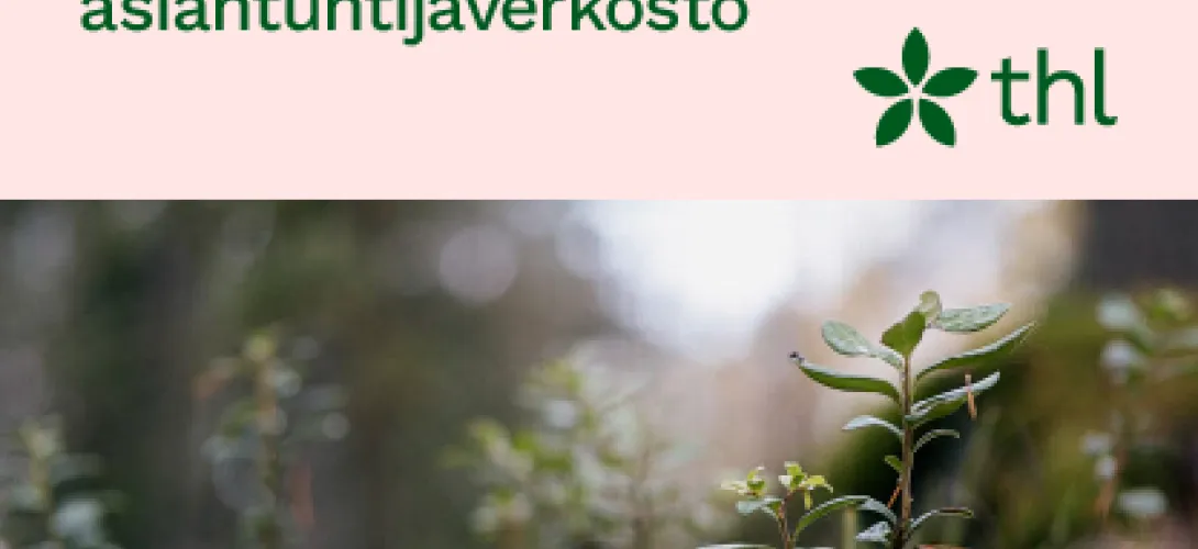 Sosiaalihuollon tiedonhallinnan asiantuntijaverkosto (THL)