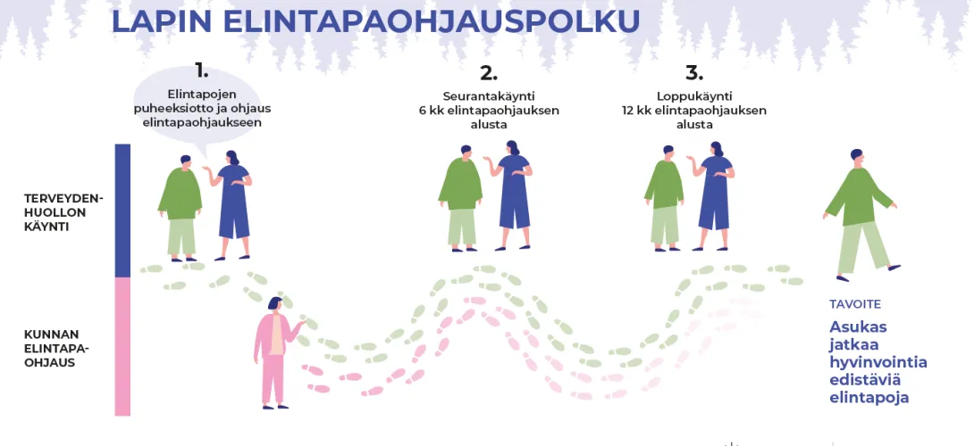 Lapin elintapaohjauspolku