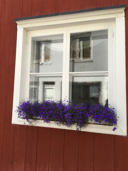 Ikkuna