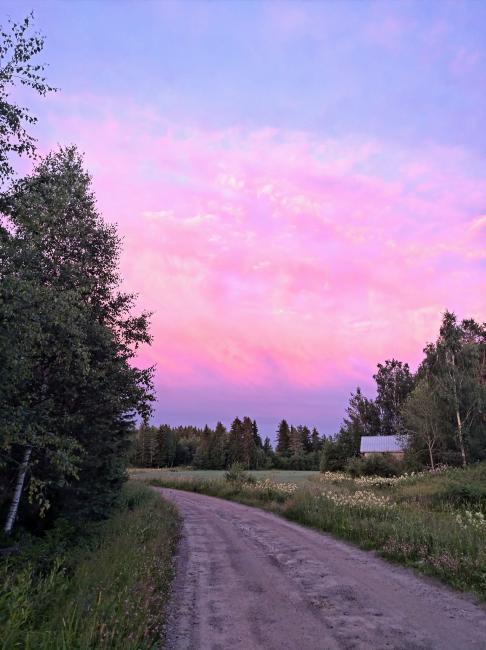 Polku auringonlaskussa