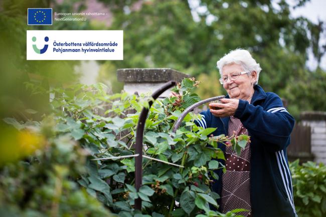 Hyvinvointiranneke apuna ikääntyneiden etäkotikuntoutuksessa
