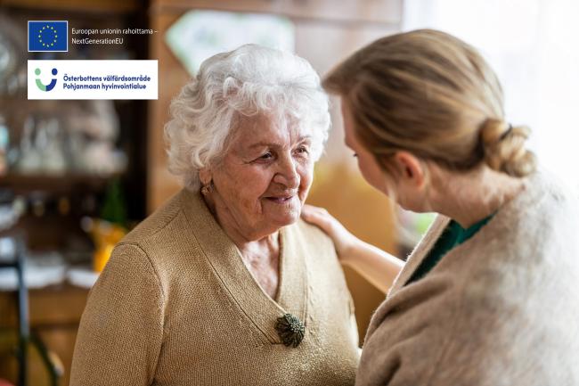 Perhehoidon mahdollisuudet ikääntyneille Pohjanmaan hyvinvointialueella – kartoitus ja toiminnan käynnistäminen