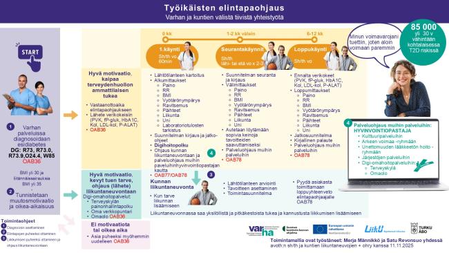 Elintapaohjaus-liikuntaneuvonnan toimintamalli syksy 2025
