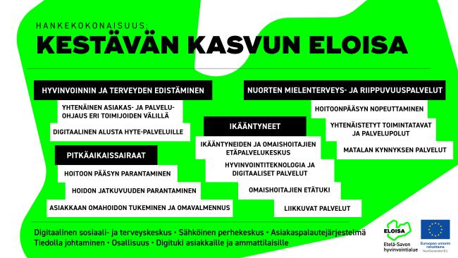 Infograafi Eloisan Kestävän kasvun Eloisa-hankkeesta