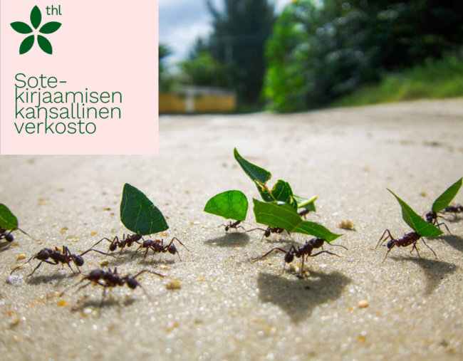 kansikuva muurahaiset