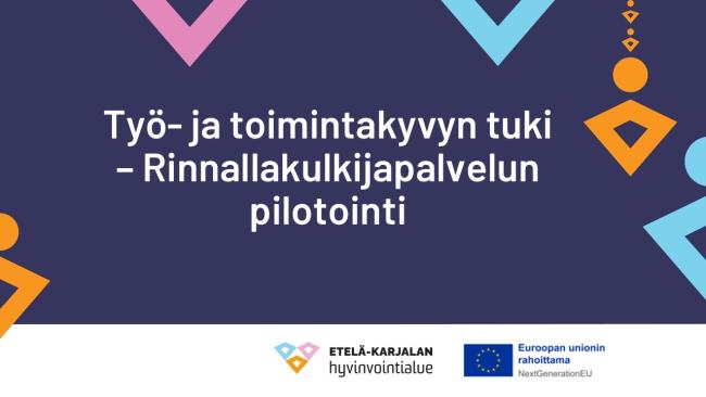 Työ- ja toimintakyvyn tuki, Rinnallakulkijapalvelun pilotointi