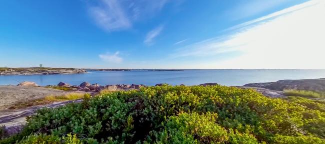 Aurinkoinen merimaisema kallioiselta rannalta katsottuna: etualalla vihreää matalaa kasvillisuutta ja sileitä kallioita, taustalla tyyni sininen meri ja kirkas taivas.