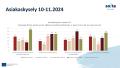 Asiakaskysely 10-11.2024