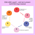 Elämällä oppii! -valmennuksen kehittämisprosessin vaiheet kuvattuna ympyrän muodossa. Ympyrässä viisi värillistä kohdetta joissa otsikot: 1 tiedonkeruu ja kartoitus, 2 yhteiskehittämisen työpajat, 3 1. valmennuspilotti, 4 2. valmennuspilotti, 5 3. valmennuspilotti, 6 valmennusmallin viimeistely ja julkaisu.